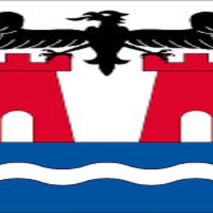 Pubblicazione risoluzioni Consiglio Comunale del 22 dicembre 2025 